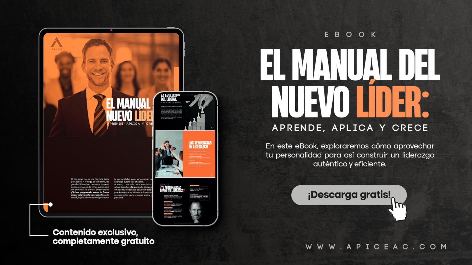 Ebook, El manual del nuevo líder